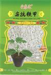安抗铁甲——砧木