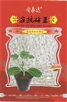 安抗砧王——砧木