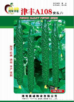 黄瓜种子---津丰A108