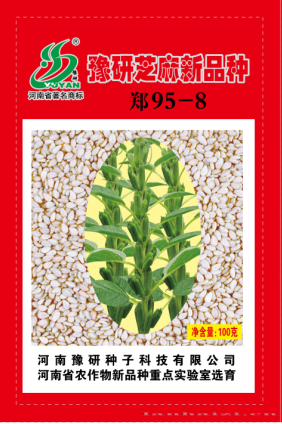 郑95-8(100g)