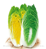 黄心娃娃菜