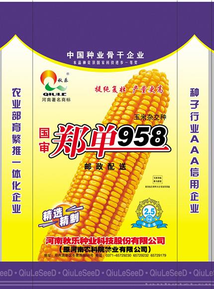 郑单958