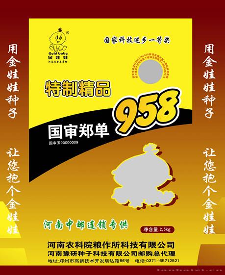 郑单958(金娃娃）