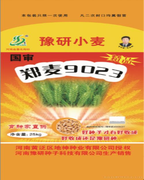 郑麦9023