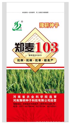 郑麦103