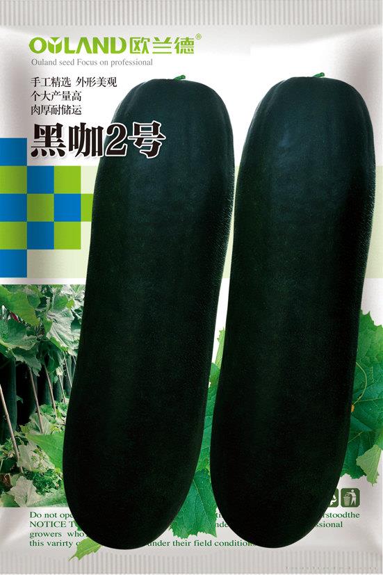 黑咖2号