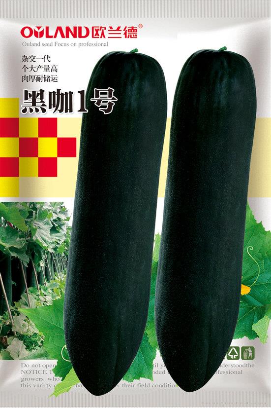 黑咖1号