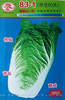 83-1（早生60天）——叶菜类