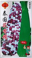 泰国花香糯——玉米类