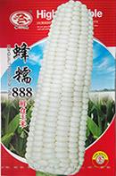 蜂糯888——玉米类