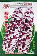 彩糯一号——玉米类