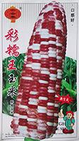 彩糯王玉米——玉米类