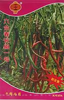 六合春长椒一号