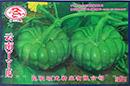 云南丫丫瓜