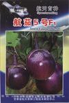 供应航茄5号茄子种子