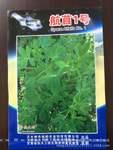 供应太空航苜1号5叶型紫花苜蓿种子