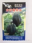 供应航天蔬菜新品种太空金铃瓜