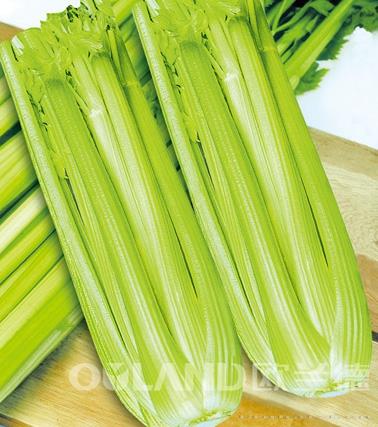 皇尊