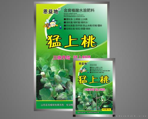 猛上桃