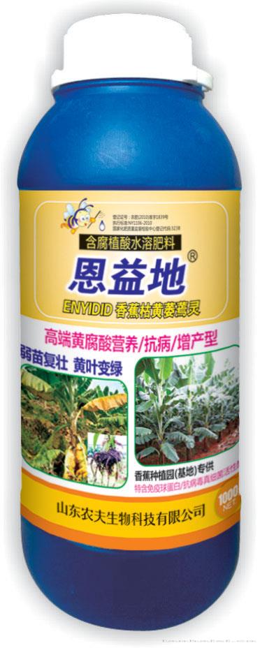 恩益地香蕉
