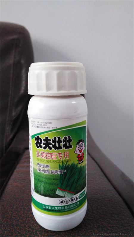 韭菜控旺专用