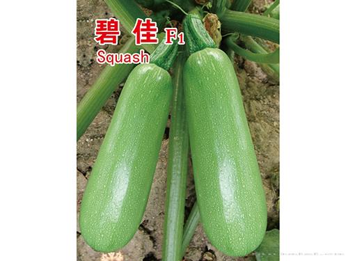 碧佳