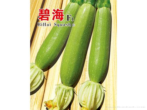 碧海