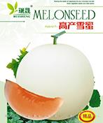 高产雪蜜
