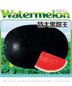 特大黑甜王