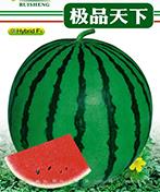 极品天下