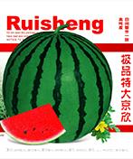 极品特大京欣