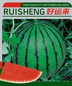 好运来
