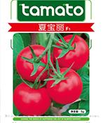 夏宝丽