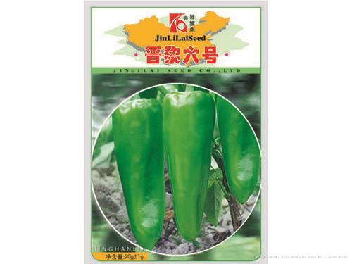 晋黎六号辣椒
