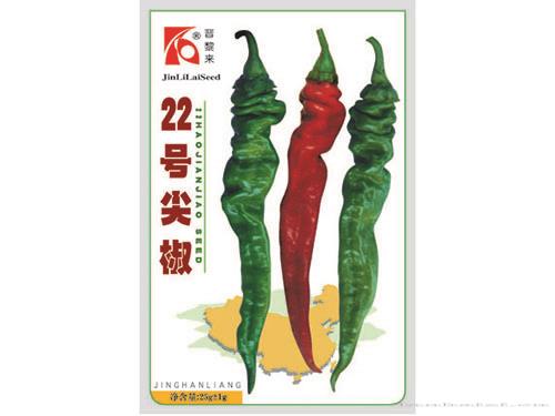 22号尖椒