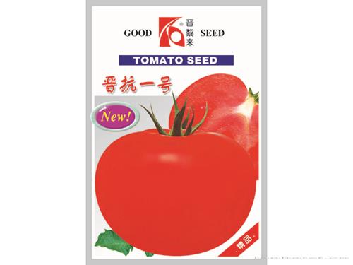 晋抗一号番茄