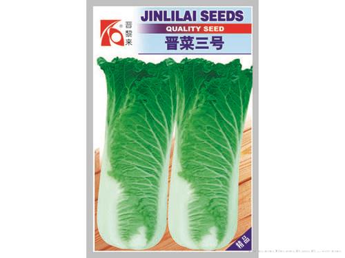 晋菜三号白菜