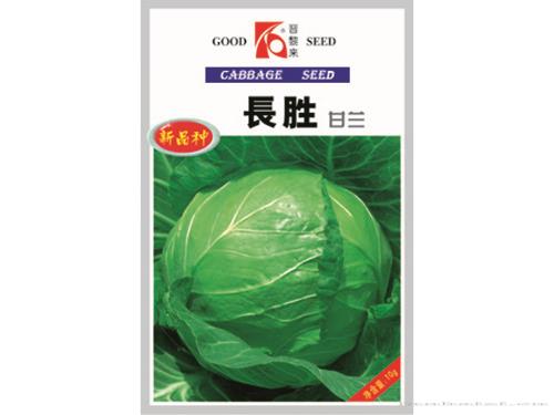 长胜甘蓝