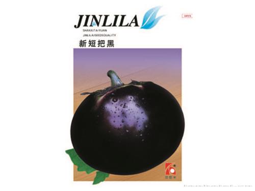 新短把黑茄子