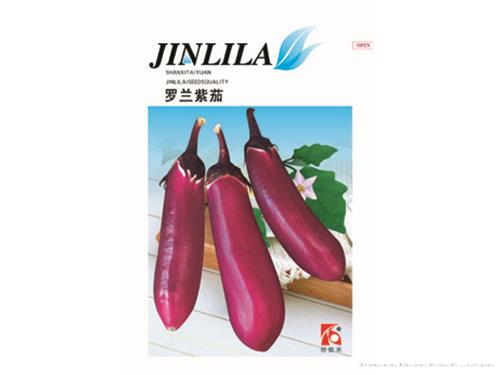 罗兰紫茄