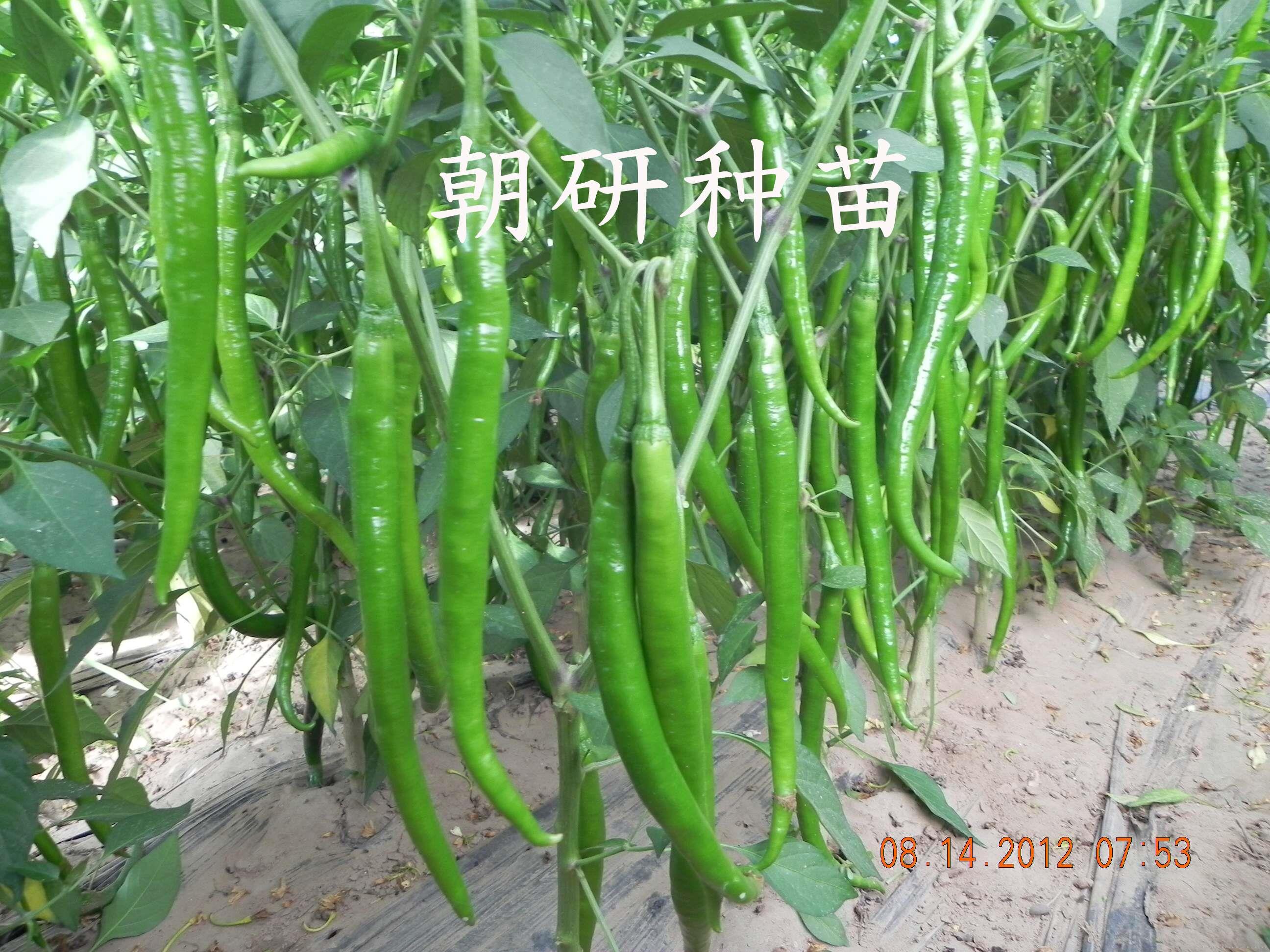 津福308