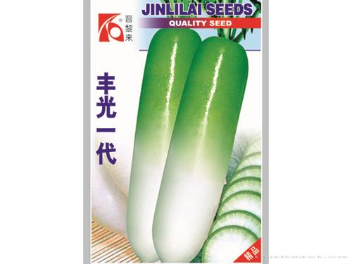 丰光一代萝卜