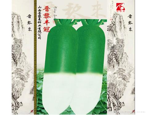 晋黎丰冠