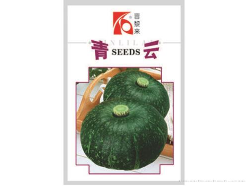 青云南瓜