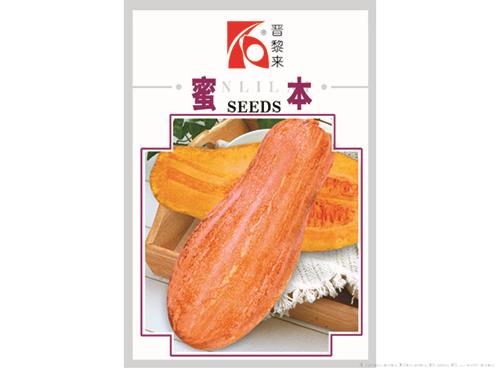 蜜本南瓜