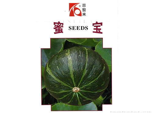 蜜宝南瓜
