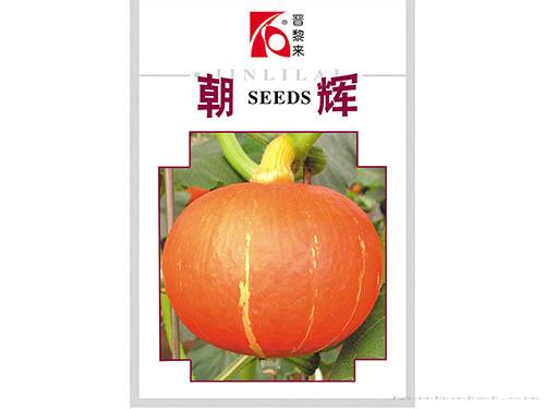 五月慢油菜