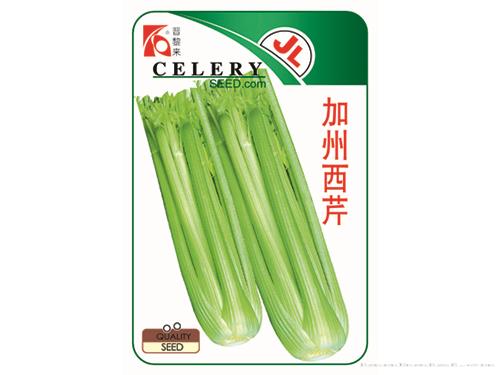 加州西芹