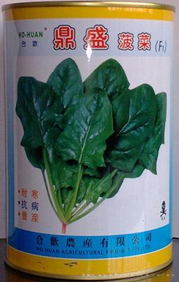 鼎盛菠菜