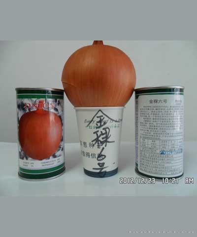 金稞6号